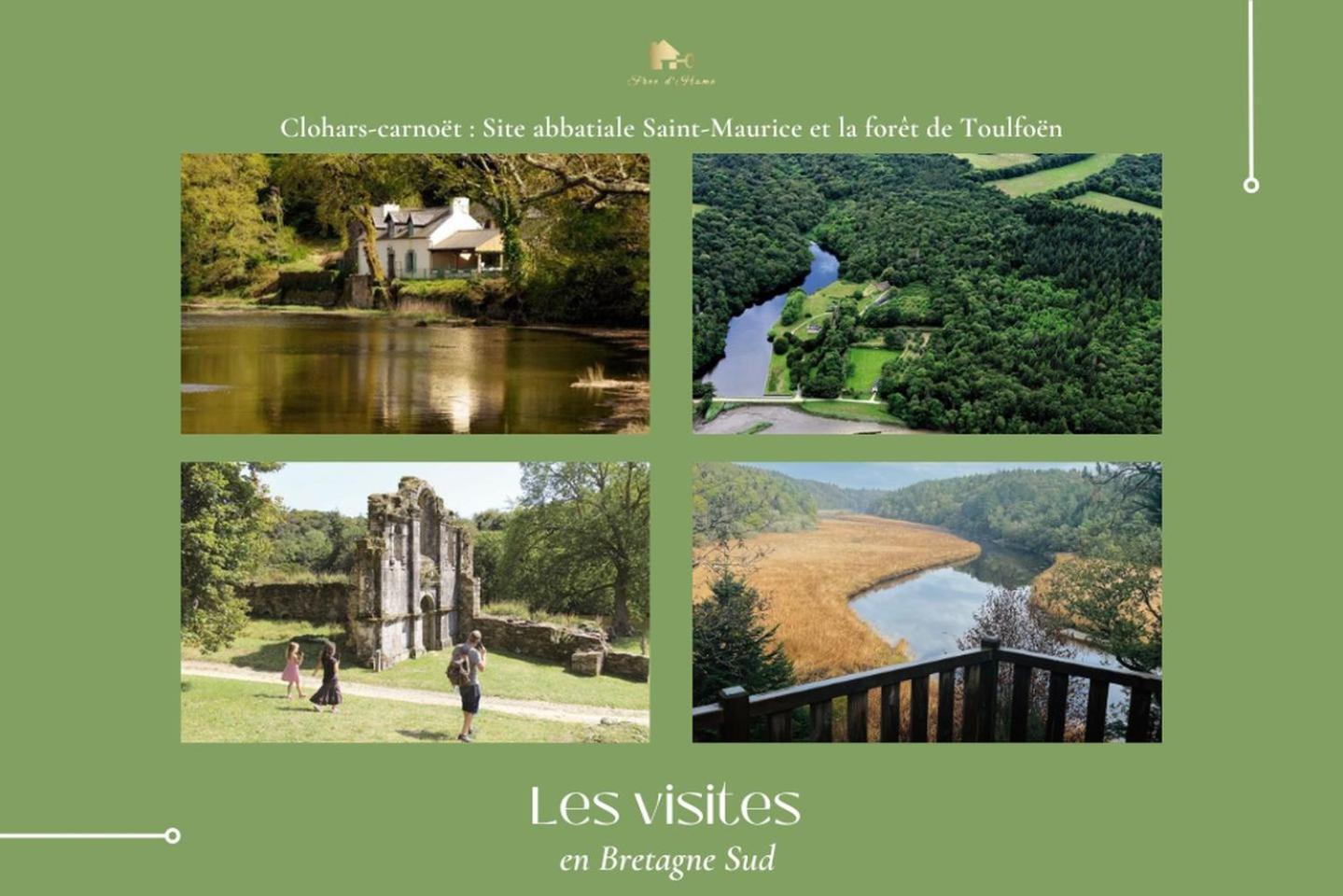 La Maison Bleue,Authenticite, Nature, Simplicite, 2-5 Personnes, Moelan Sur Mer エクステリア 写真